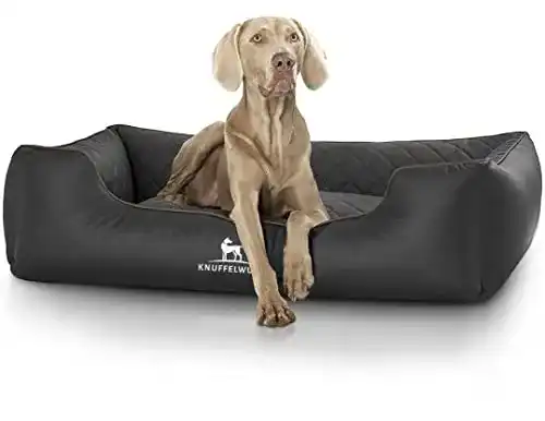 Hundebett Knuffelwuff Orthopädisches Madison, Kunstleder