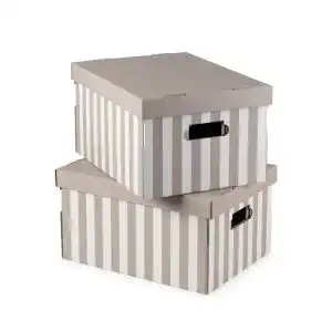Karton mit Deckel Compactor Set 2 x Aufbewahrungsbox Taupe