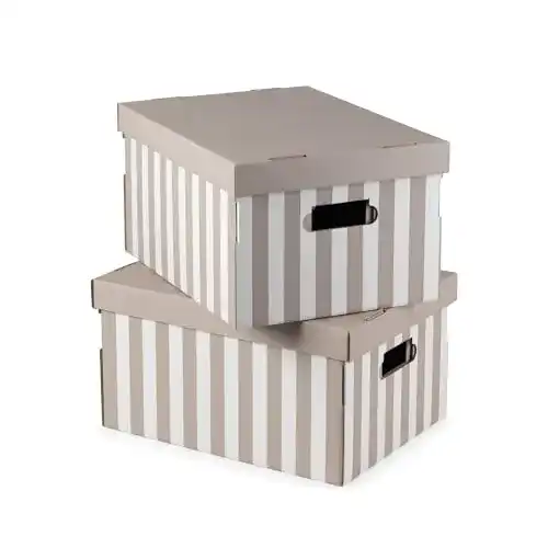Karton mit Deckel Compactor Set 2 x Aufbewahrungsbox Taupe
