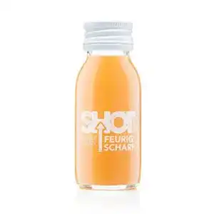 Ingwer-Shot Shot Concept Ingwer Shot 6x60ml, Ingwer Shot
