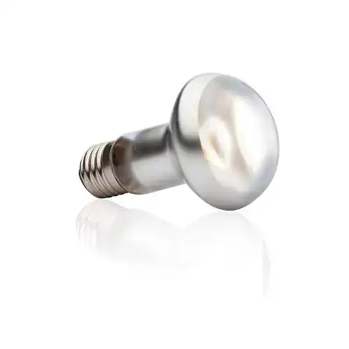 Terrarium-Lampen Exo Terra Intense Basking Spot, Wärmespot