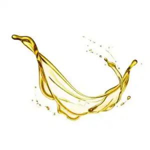 Rizinusöl Dragonspice Naturwaren kaltgepresst, 500ml