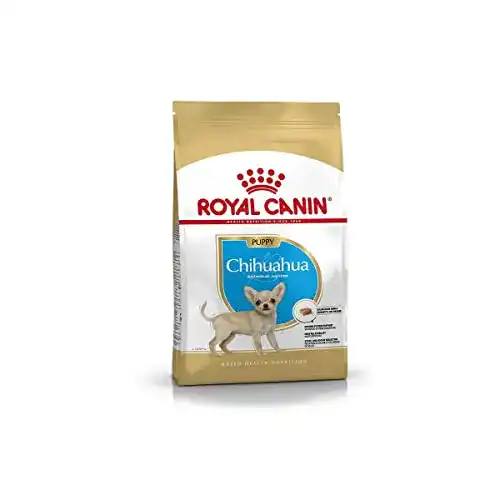 Royal-Canin-Welpenfutter ROYAL CANIN Chihuahua Junior 500 g