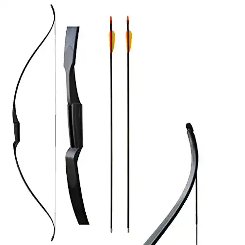 Die beste Recurvebogen Franks-Castle Set Rolan Snake 26 lbs mit Pfeilen 2026 Test Bestseller Recurvebogen Franks-Castle Set Rolan Snake 26 lbs mit Pfeilen