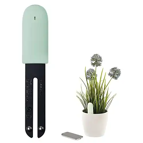 Feuchtigkeitsmesser Pflanzen WANFEI Pflanzensensor Flower Care