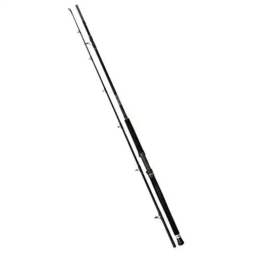 Wallerrute Black Cat Buster 3m 300-500g , Angelrute zum Wallerangeln, Welsrute zum Angeln auf Waller, Wallerangel zum Welsangeln