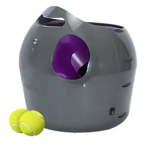 Ballwurfmaschine Hund PetSafe Automatischer Ballwerfer