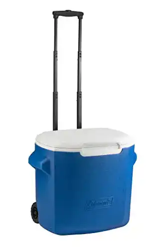 Coleman-Kühlbox Coleman Passive Kühlbox 16 QT/28QT