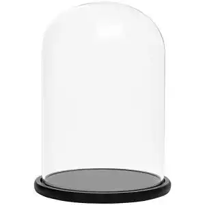 Glasglocke BELLE VOUS Glas Glocke Glaskuppel Groß Holzboden