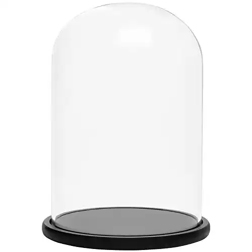 Glasglocke BELLE VOUS Glas Glocke Glaskuppel Groß Holzboden