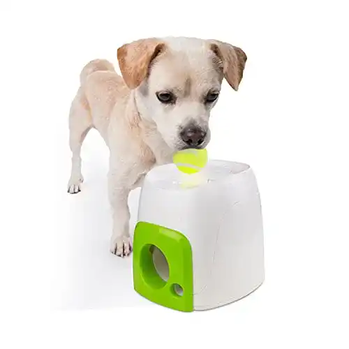 Ballwurfmaschine Hund AFP All for Paws 3201 Interactives