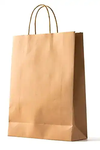 Papiertragetasche PAKNOR 24stk Braun Papiertüten mit Henkel