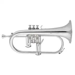Flügelhorn Jupiter JFH1100 RS in B – Goldmessing, versilbert