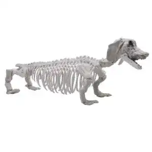 Hundeskelett JOYIN Halloween-Dekoration, 23″, Pose-N-Stay