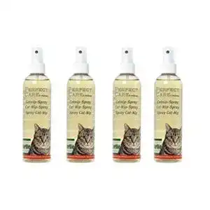 Katzenminze-Spray Cajou 1 Liter (4 Flaschen) Katzenminze