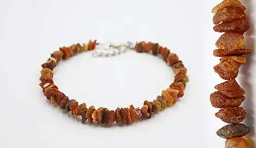 Bernstein-Halsband Hund amber-us Bernsteinkette (65-70 cm)