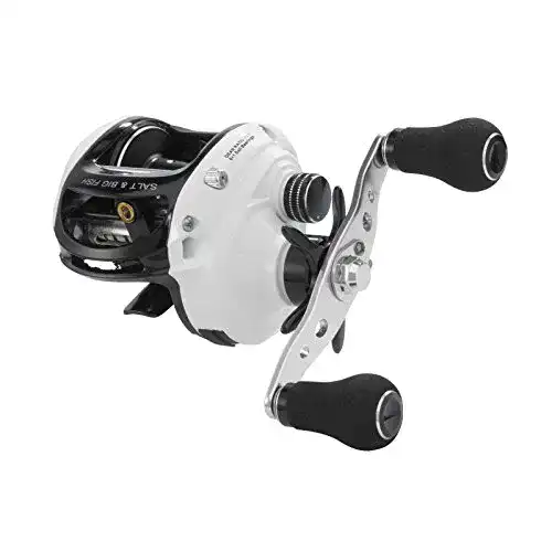 Baitcastrolle WFT Salt & Big Fish