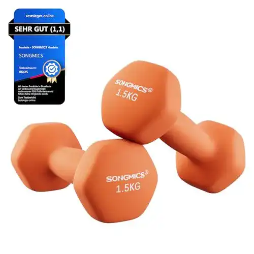 Hanteln 4 kg SONGMICS 18 2er-Set Hanteln Kurzhantel