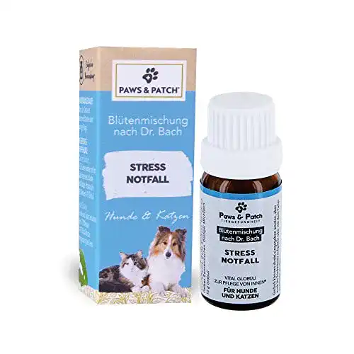 Beruhigungsmittel für Katzen Paws & Patch Bachblüten
