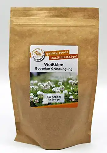 Weißklee-Samen Gärtner’s erste Wahl! bobby-seeds.com Bodenkur