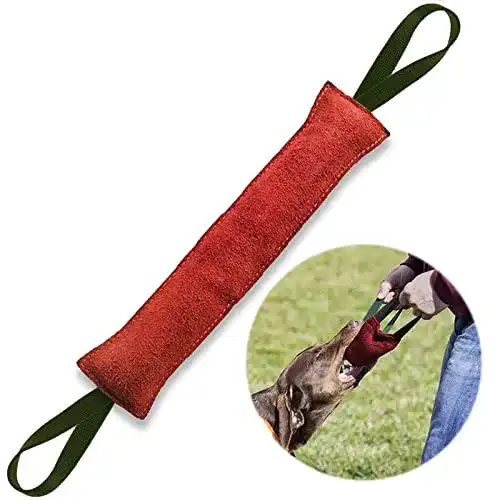 Beißwurst Hund MAIYADUO Beisswurst für Hunde, 40 cm