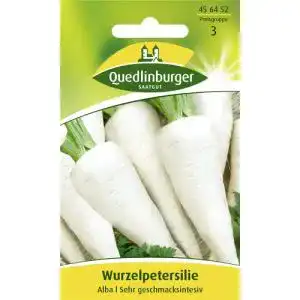 Petersilienwurzel-Samen Quedlinburger Petersilie, halblang