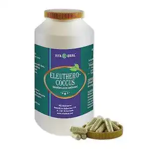 Gedächtnis-Tabletten VITA IDEAL VITAIDEAL ® Eleutherococcus