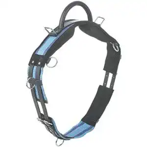 Longiergurt Busse mit Handgriff, Shetty, navy/sky blue