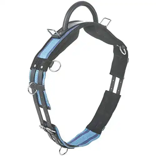 Die beste Longiergurt Busse mit Handgriff, Shetty, navy/sky blue 2026 Test Bestseller Longiergurt Busse mit Handgriff, Shetty, navy/sky blue
