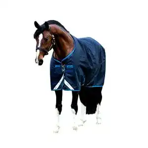 Regendecke Pferd Horseware Amigo Bravo 12 – 125cm 100g Füllung