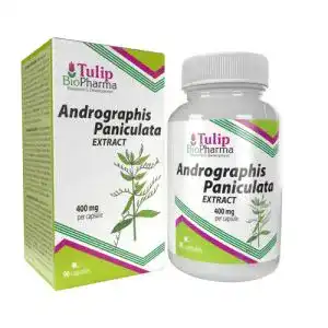 Andrographis Tulip BioPharma Paniculata 400mg 90 Kapseln