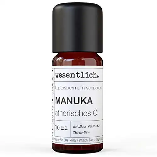Manukaöl wesentlich. – reines ätherisches Öl von – 100% naturrein