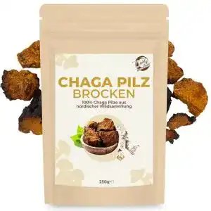 Chaga-Pilz Curly Superfood Chaga-Brocken Wildsammlung 250g