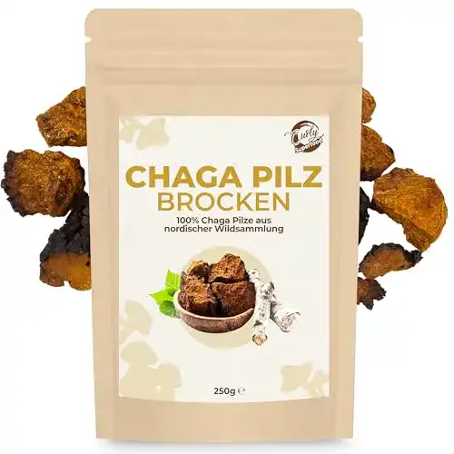 Chaga-Pilz Curly Superfood Chaga-Brocken Wildsammlung 250g