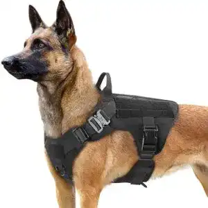 Taktisches Hundegeschirr rabbitgoo für Große Hunde mit Griff