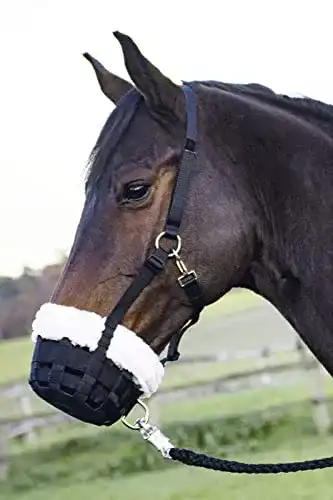 Fressbremse Pferd Busse Fressbremse COMFY, Warmblut, schwarz