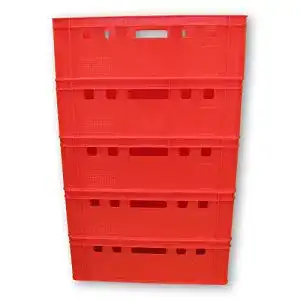 Fleischerkisten kanister-vertrieb 5er Set E2 Kisten 60x40x20 cm