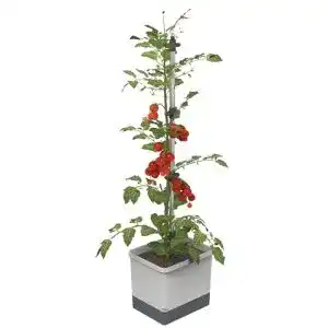 Tomatentopf GUSTA GARDEN Tom Tomato – 4,5 L Wassertank