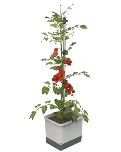 Tomatentopf GUSTA GARDEN Tom Tomato – 4,5 L Wassertank
