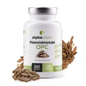 Pinienrindenextrakt alphavitalis 500 mg mit OPC je Kapsel