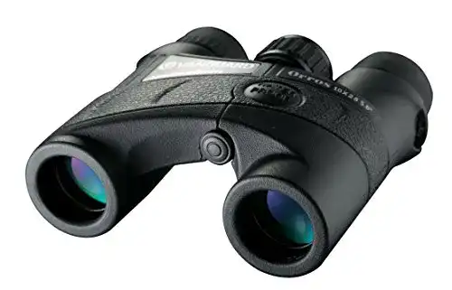 Die beste Vanguard-Fernglas Vanguard Orros1025 Fernglas schwarz 2026 Test Bestseller Vanguard-Fernglas Vanguard Orros1025 Fernglas schwarz