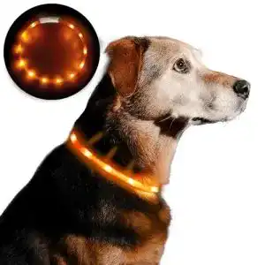 Leuchthalsband Hund Anicoll LED Halsband, USB wiederaufladbar