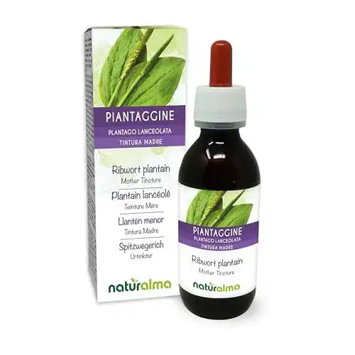 Die beste Spitzwegerich-Tinktur Naturalma Spitzwegerich 100 ml 2026 Test Bestseller Spitzwegerich-Tinktur Naturalma Spitzwegerich 100 ml