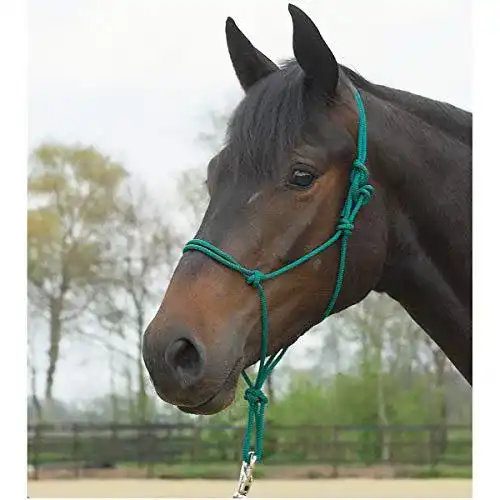 Knotenhalfter Busse Standard, Tanne, Pony/Vollblut