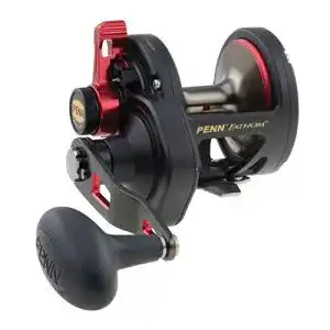 Penn-Multirolle Penn Fathom FTH25NLD Multirolle mit Hebelzug