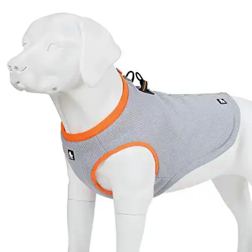 Kühlweste Hund MOKCCI Truelove Kühlweste für Hunde