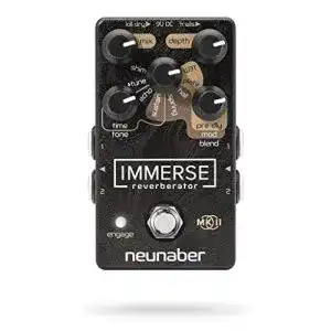 Reverb-Pedal Neunaber Immerse MKII Reverberator