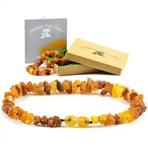 Bernstein-Halsband Hund AmberPetCare Bernsteinkette