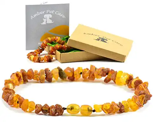 Bernstein-Halsband Hund AmberPetCare Bernsteinkette