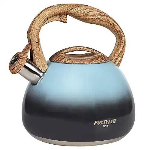 Wasserkessel POLIVIAR 7379 Poliviar Moderne Induktion